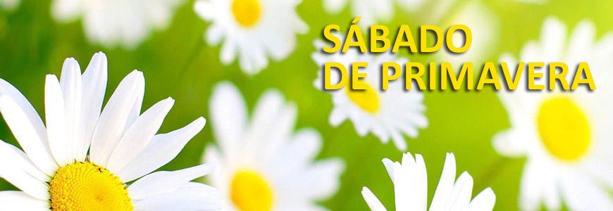 Sábado de Primavera com a BAD