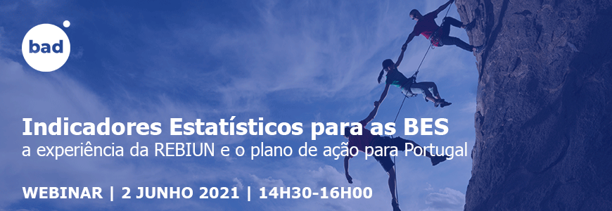 Indicadores Estatísticos para as Bibliotecas do Ensino Superior: a experiência da REBIUN e o plano de ação para Portugal
